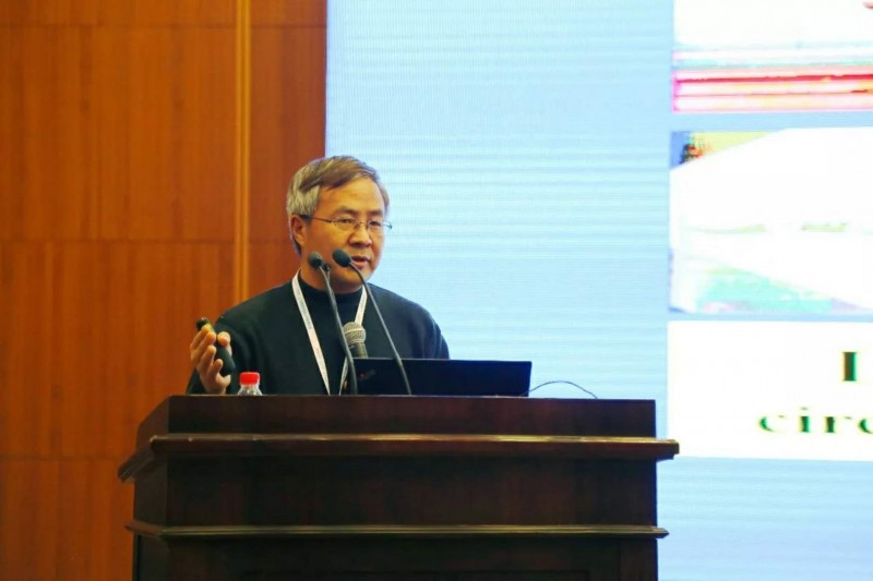 戴振东
