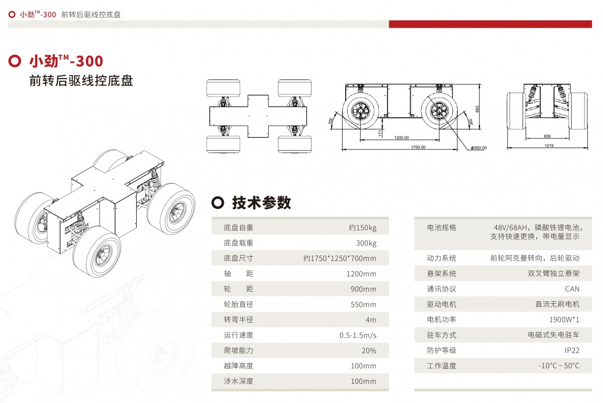 300详情